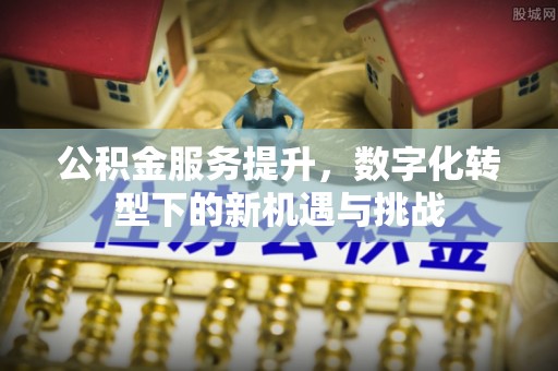 名山公积金服务提升，数字化转型下的新机遇与挑战